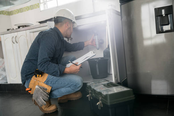 Best Clogged Drain Plumber  in Mayville, MI