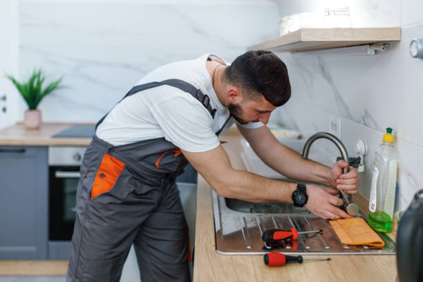 Best Affordable Plumbing Services  in Mayville, MI
