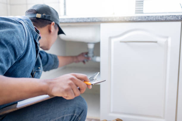 Best Local Plumber Services  in Mayville, MI