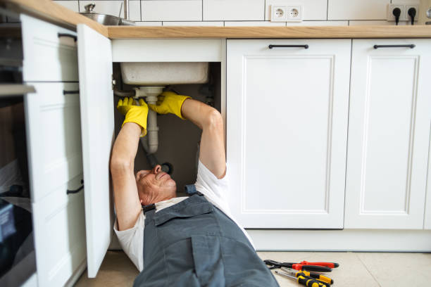 Best Best Plumbers Near Me  in Mayville, MI